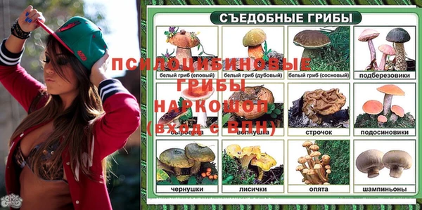 spice Аркадак