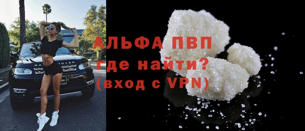 spice Аркадак