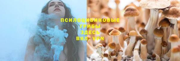 крисы Балахна