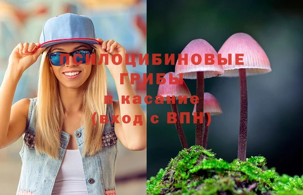 герыч Арсеньев