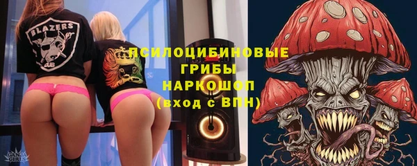 spice Аркадак