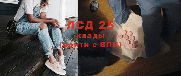 spice Аркадак